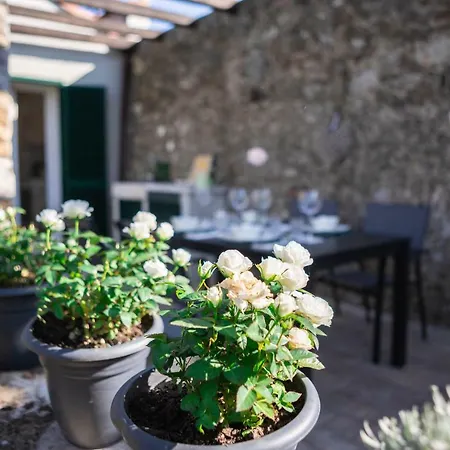 Gardenhouse