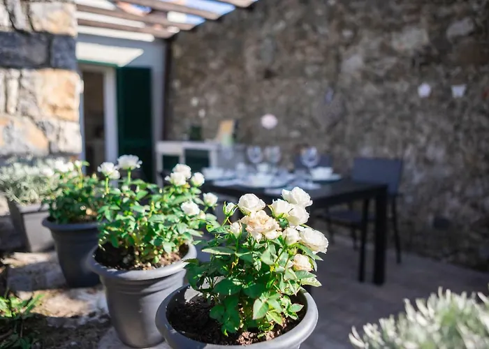Gardenhouse